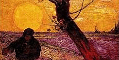 Saman bei untergehender sonne - V. Van Gogh